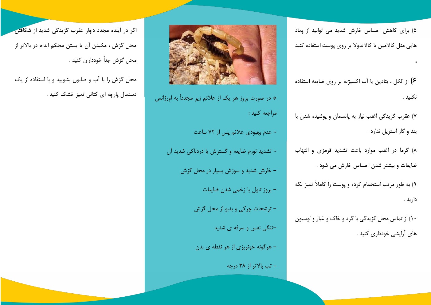 عقرب گزيدگي2